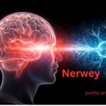 Nerwey