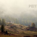 Peitner
