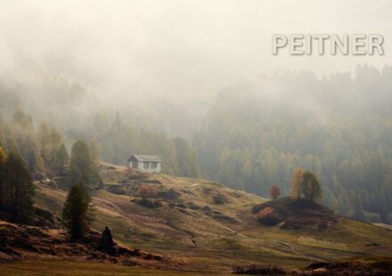 Peitner