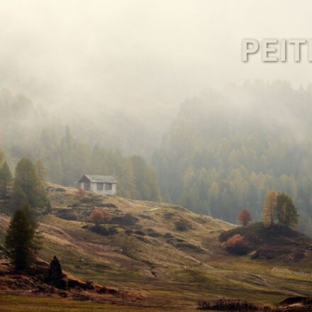 Peitner