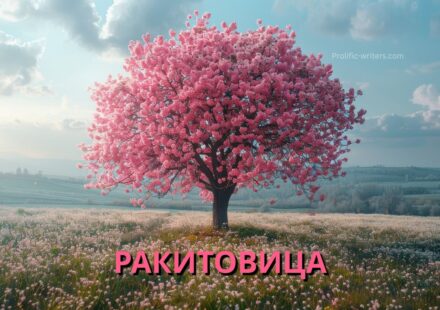 ракитовица